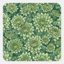 Chrysanthemum grüne Blume