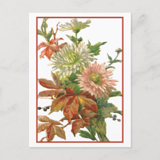 Chrysanthemum Herbst Feine Kunst Postkarte