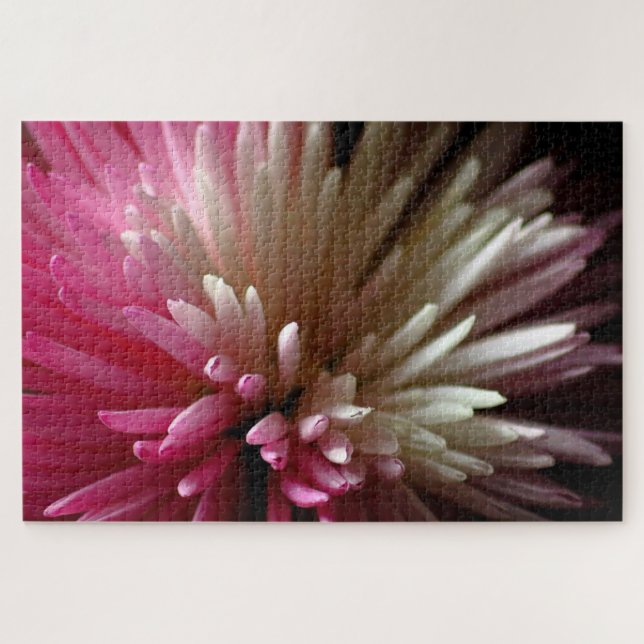 Chrysanthemum in Rosa und Weiß Puzzle (Horizontal)