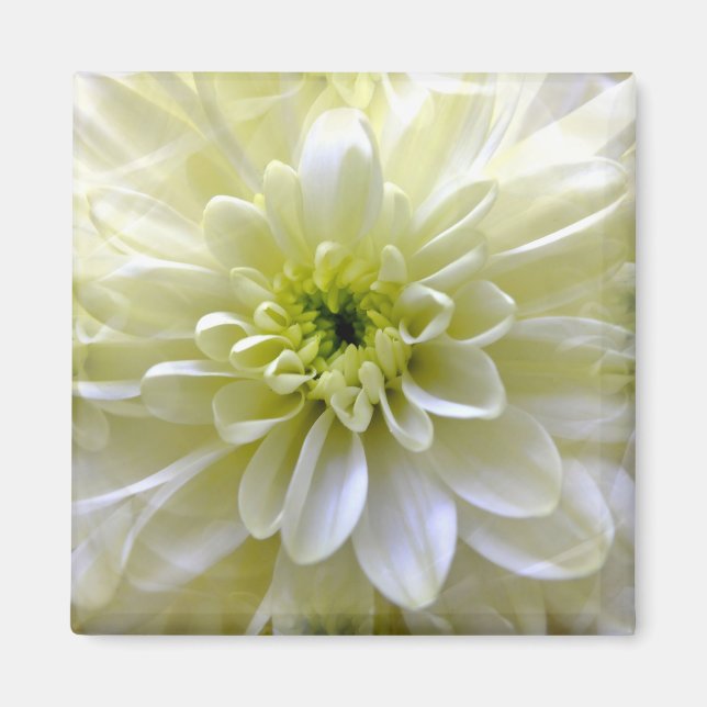 CHRYSANTHEMUM MAGNET (Vorne)