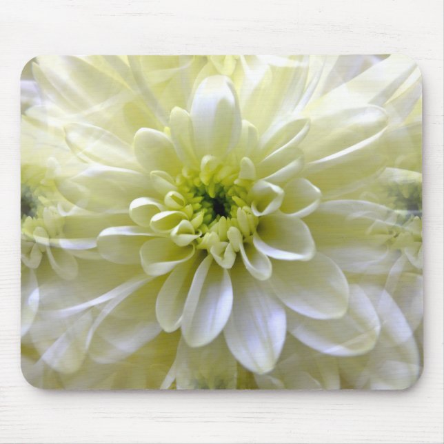 CHRYSANTHEMUM MOUSEPAD (Vorne)