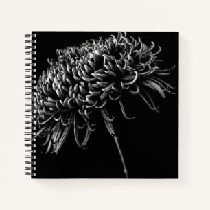 Chrysanthemum Notizbuch