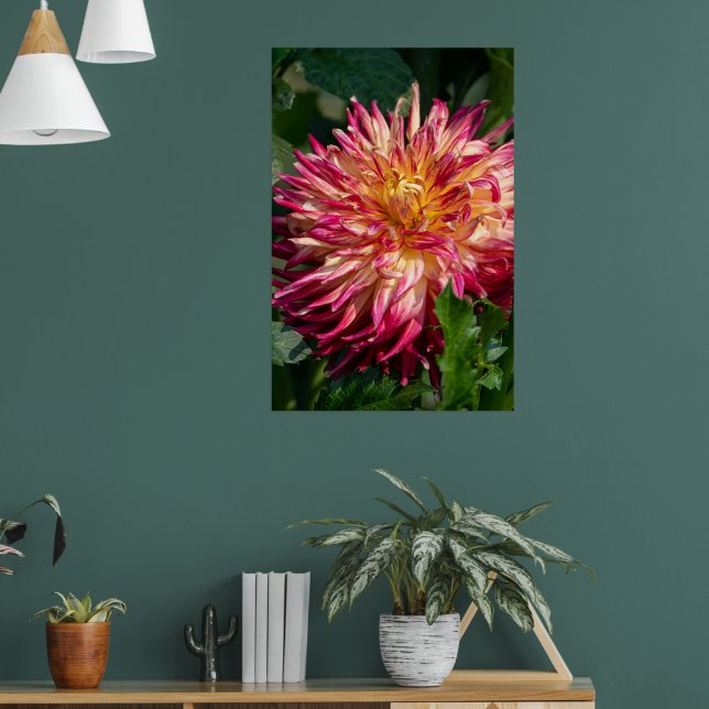 Chrysanthemum Orange Canadian Flower Fotografy Poster (Wohnzimmer 1)