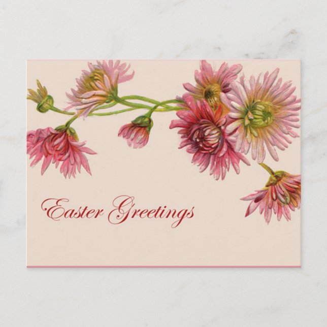Chrysanthemum Ostergruß - Postkarte (Vorderseite)