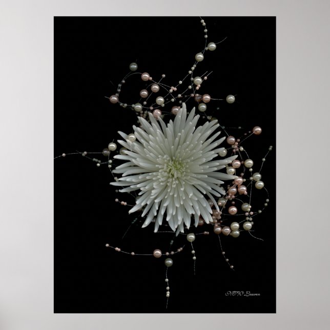 Chrysanthemum & Pearls Poster (Vorne)