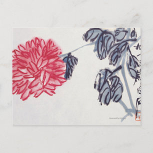 Chrysanthemum Postkarte