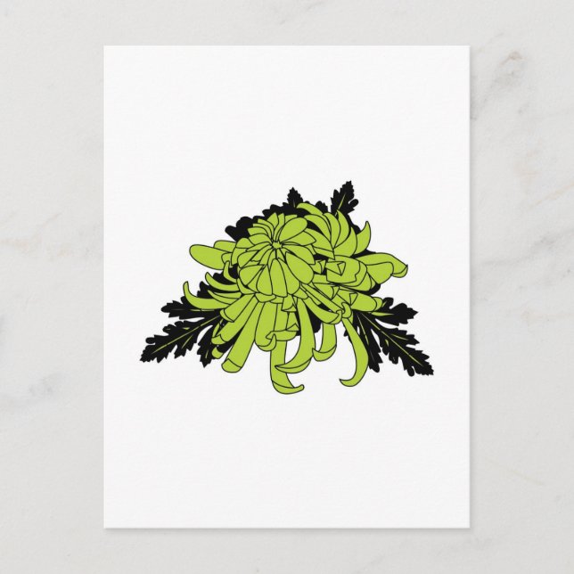 Chrysanthemum Postkarte (Vorderseite)