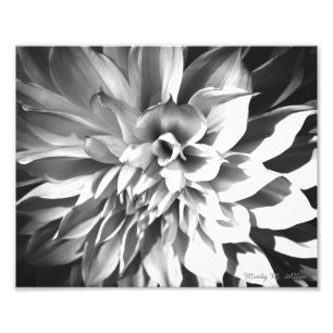 Chrysanthemum Print 8 x 10 Fotodruck