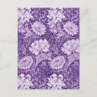 Chrysanthemum Purple