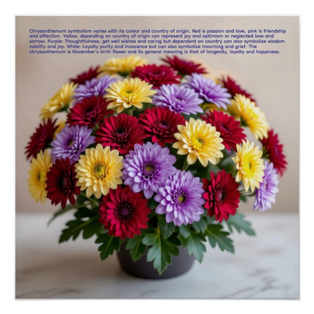 Chrysanthemum Symbolism Poster (Vorderseite)