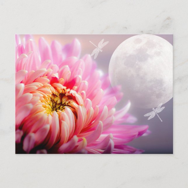 Chrysanthemum und Mond Postkarte (Vorderseite)