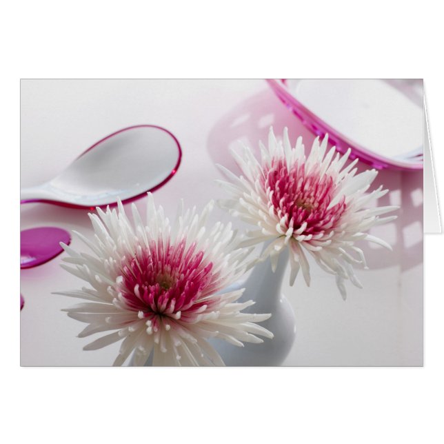 Chrysanthemums (Vorderseite (Horizontal))