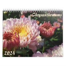 "chrysanthemums" Blumenkalender Feng Shui