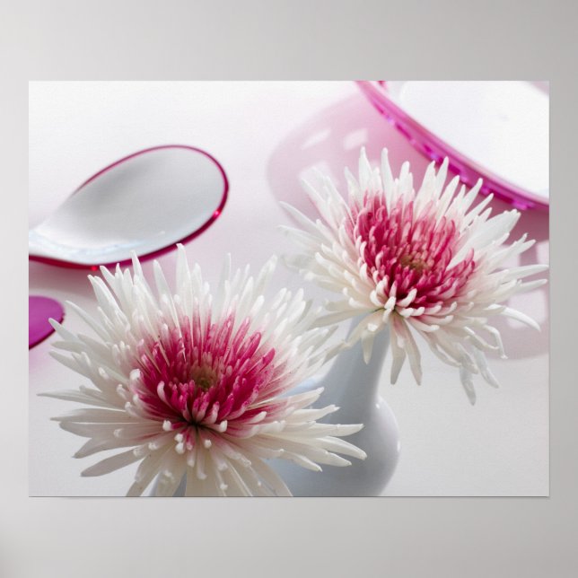 Chrysanthemums Poster (Vorne)