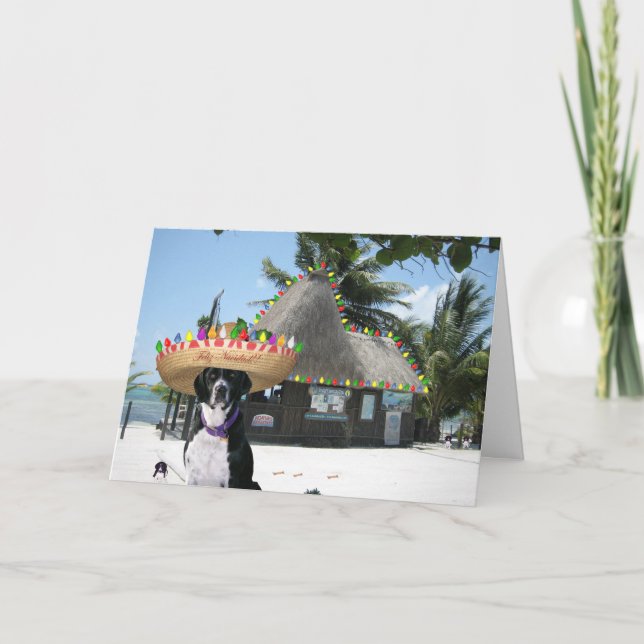 Chrysie Mexikanisches Weihnachtsfest Feiertagskarte (Vorderseite)