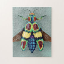 Chrysochroa fulgens Holzbockende Käfermalerei