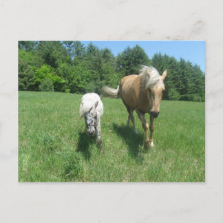 Chrysta und Cash Postkarte