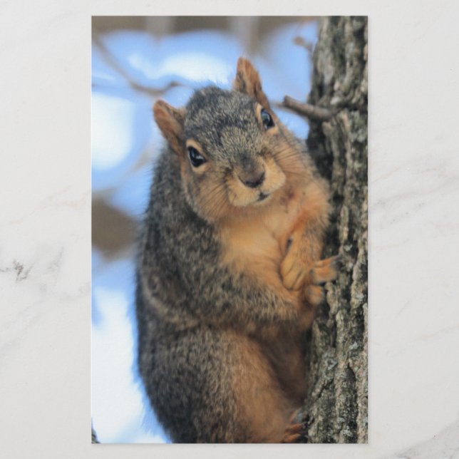 Chubby Briefpapier (Vorderseite)