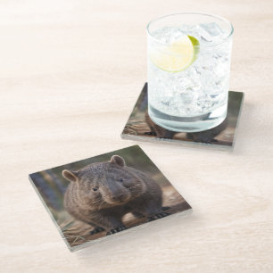 "Chubby Charm: Die Adorable Australian Wombat" Glasuntersetzer