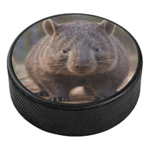 Chubby The Australian Wombat, Eishockey Puck