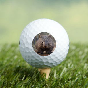 Chubby The Australian Wombat, Golfball