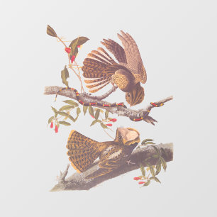 Chuck Will's Widow Nightjar mit Korallenschlange Fensteraufkleber