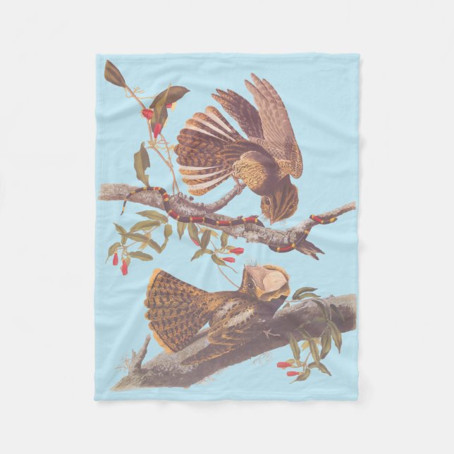 Chuck Will's Widow Nightjar mit Korallenschlange Fleecedecke (Vorderseite)