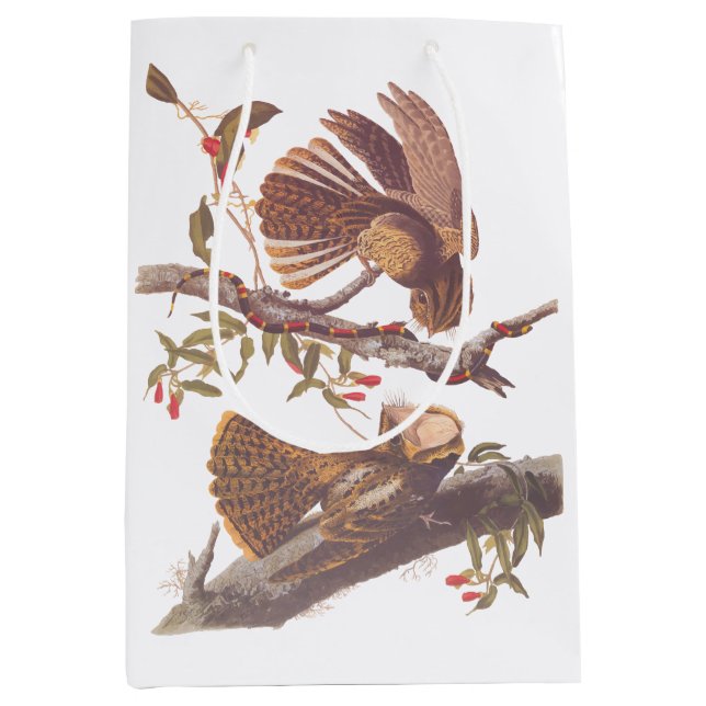 Chuck Will's Widow Nightjar mit Korallenschlange Mittlere Geschenktüte (Vorderseite)