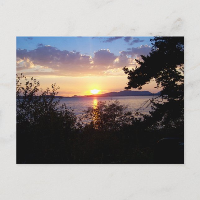 Chuckanut Drive Postkarte (Vorderseite)