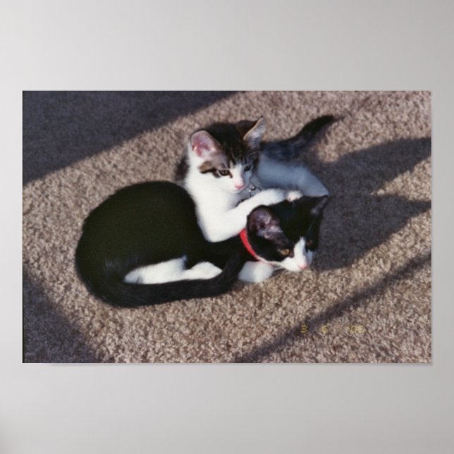 Chuda & Sami Poster (Vorne)