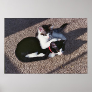 Chuda u. Sami Poster