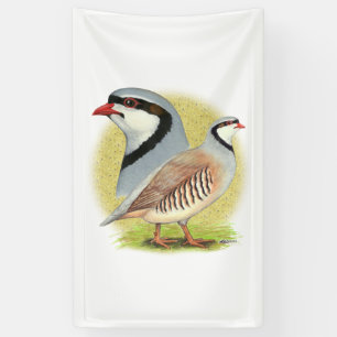 Chukar Partridge Combo Banner