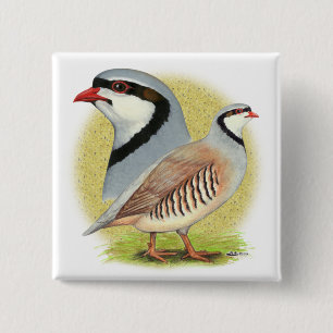 Chukar Partridge Combo Button