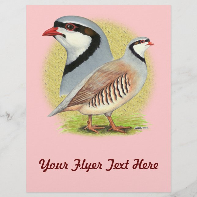 Chukar Partridge Combo Flyer (Vorne)
