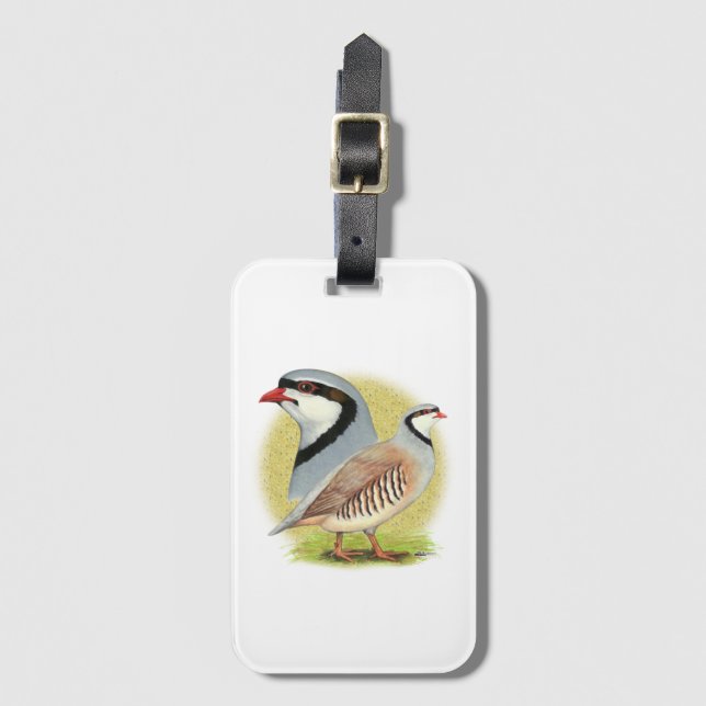 Chukar Partridge Combo Gepäckanhänger (Vorderseite Vertikal)
