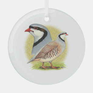 Chukar Partridge Combo Ornament Aus Glas