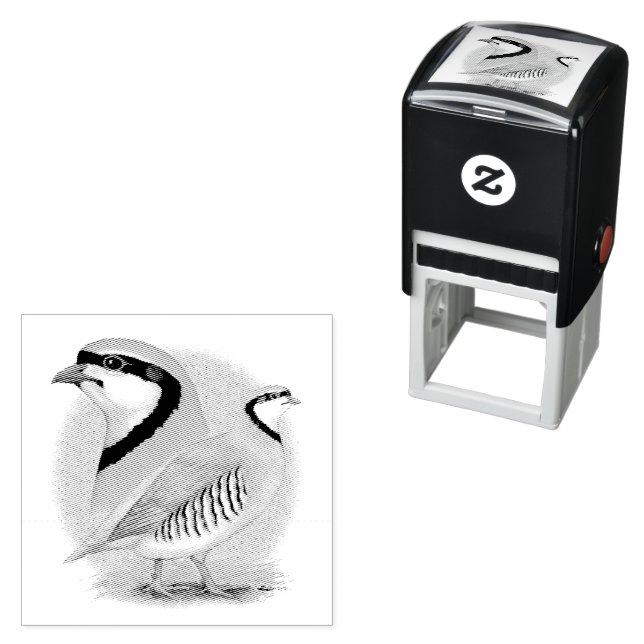 Chukar Partridge Combo Permastempel (Beispiel)