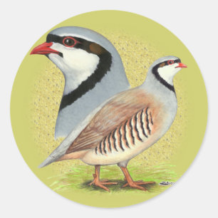 Chukar Partridge Combo Runder Aufkleber