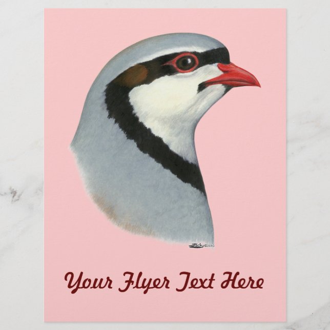 Chukar: Partridge Head Flyer (Vorne)