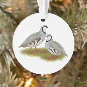 Chukar Partridge Ornament