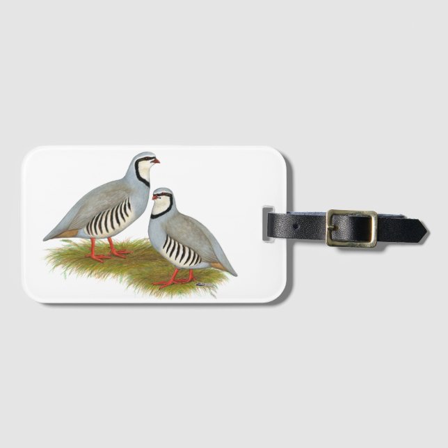Chukar Partridge Pair Gepäckanhänger (Vorderseite (Horizontal))