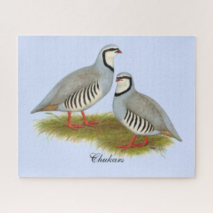 Chukar Partridge Pair Puzzle
