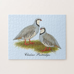 Chukar Partridge Pair Puzzle