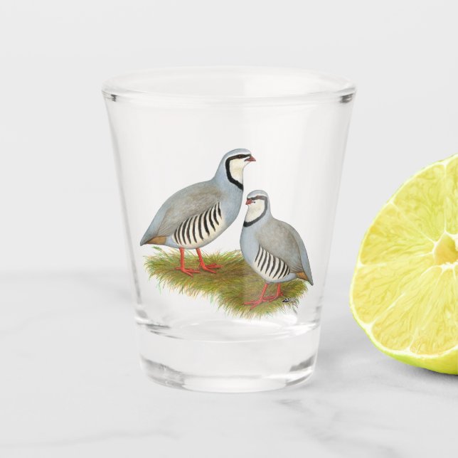 Chukar Partridge Pair Schnapsglas (Vorderseite)