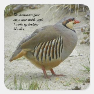 Chukar Partridge Quadratischer Aufkleber