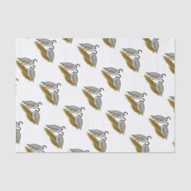 Chukar Partridge Seidenpapier (Vorderseite)