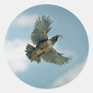 Chukar-Patrone Runder Aufkleber