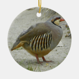 Chukar Rebhuhn Keramikornament
