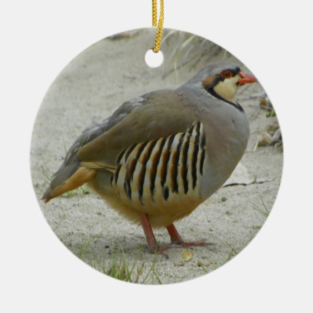 Chukar Rebhuhn Keramikornament (Vorne)
