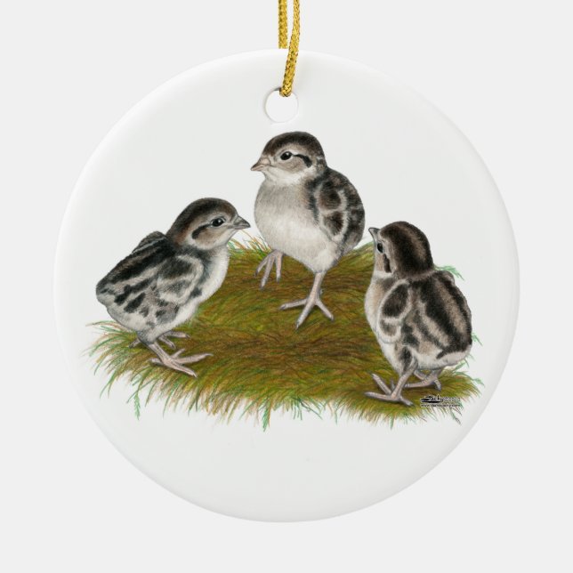 Chukar Rebhuhn-Küken Keramikornament (Vorne)